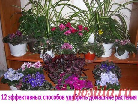 Оксана Марчук