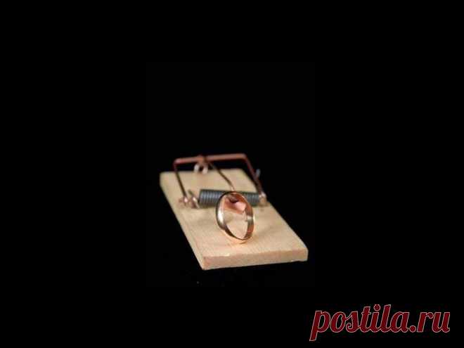 ЮМОР ЗАМУЖЕСТВО КОЛЬЦО В МЫШЕЛОВКЕ!!!!!!!!!!!!!!!!!!