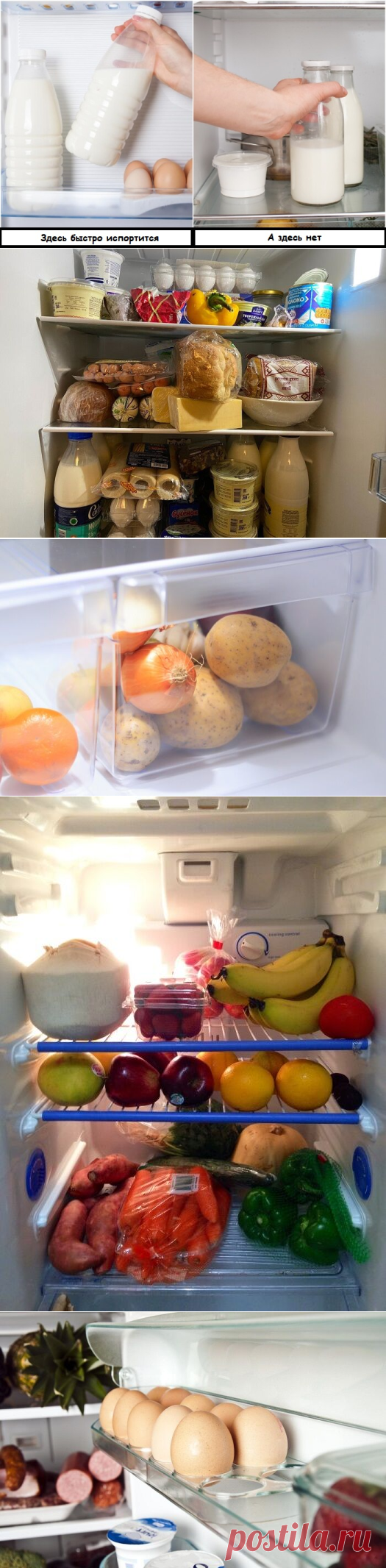 10 ошибок хранения в холодильнике, из-за которых продукты приходится выкидывать раньше срока