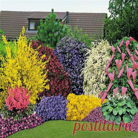Часть 2.Красивые клумбы из многолетних цветов..
