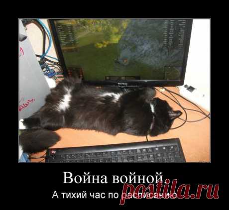 Война войной