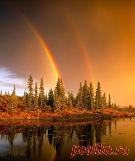 (2) Одноклассники