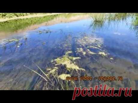 Иловля река!