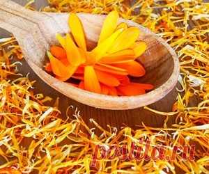 3 рецепта на основе календулы при бессоннице и повышенной возбудимости 
Нарушение в работе нервной системы, как правило, возникает, когда человек перенес стресс, недосыпает, постоянно раздражен, у него возникают конфликты с окружающими. Иногда причина нервной возбудимост…