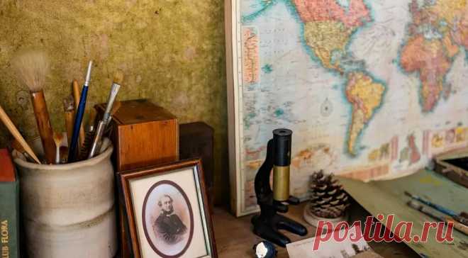 Что вставить в раму, кроме фото и картин: 16 оригинальных вариантов Карты, листья, меховые изделия — предлагаем подборку креативных и простых в исполнении решений.