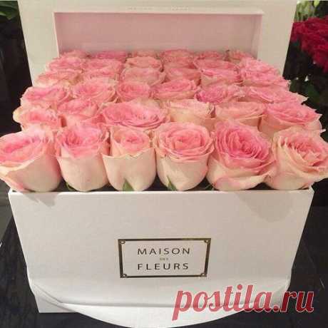 Найдено на сайте bestofbarbie.tumblr.com.
