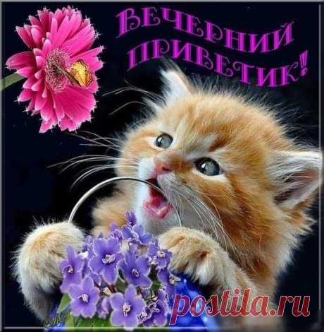 Миса Тиса - Всем доброе утро!!!