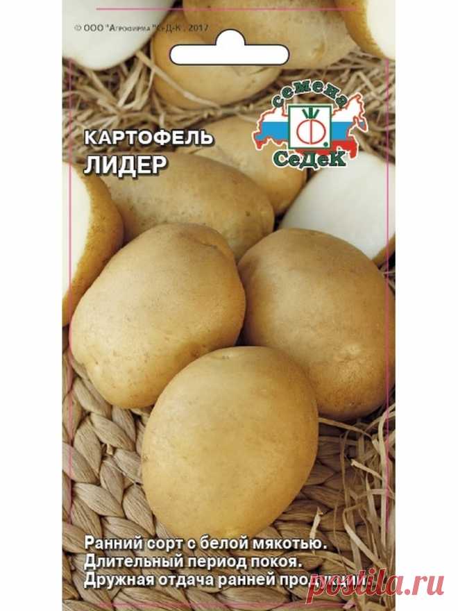Картофель семенной лидер отзывы Огород без хлопот - информационный сайт для дачников, садоводов и огородников.