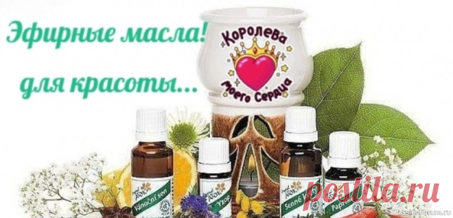 Топ-5 эфирных масел – мощные союзники в борьбе с морщинами “Морщинкам – бой! Раскрываем секрет Топ-5 эфирных масел – мощные союзники в борьбе с морщинами, которые разгладят ваше лицо...Почему эфирные масла работают❓Эфирные масла обладают уникальными свойствами: Антиоксидантное действие: Защищают кожу от свободных радикалов, вызывающих...