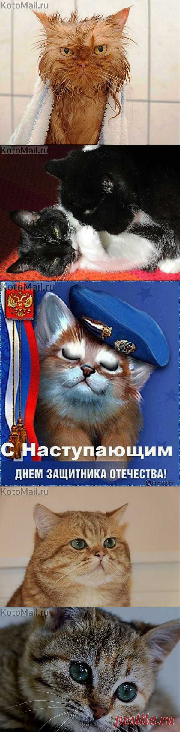 Легков, Вылегжанин, Черноусов!!! Золото,... и другие материалы. Новое в Вашей подборке на Постила.ru - klievtsova@inbox.ru - Почта Mail.Ru