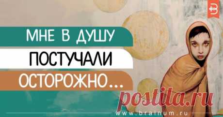 Мне в душу постучали осторожно… - Brainum