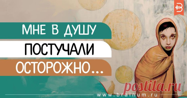 Мне в душу постучали осторожно… - Brainum