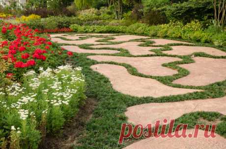 Landscaping Ideas: Backyard & Front Yard Decor (DESIGNS)