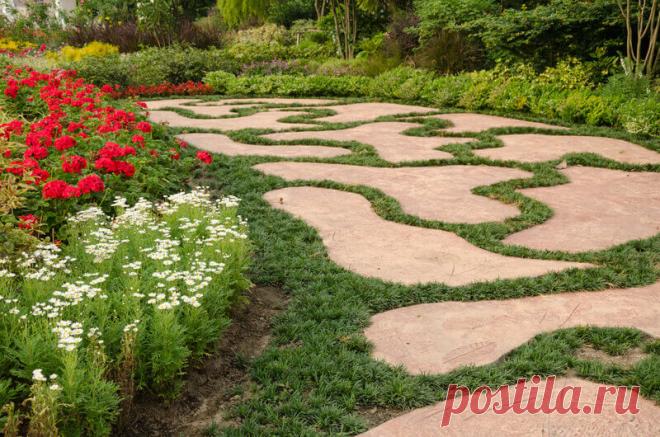 Landscaping Ideas: Backyard & Front Yard Decor (DESIGNS)