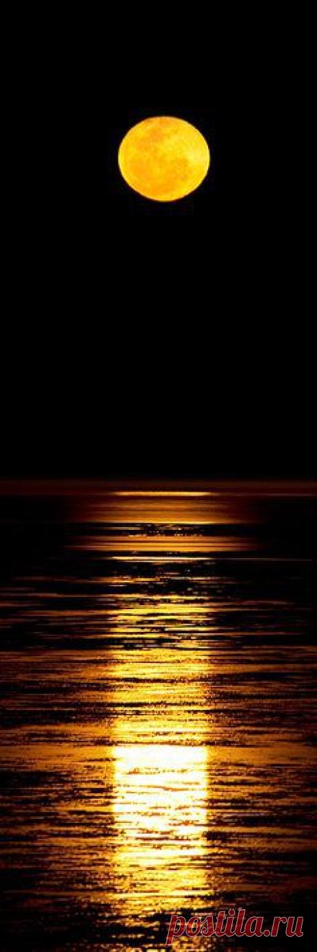 Stairway To The Moon, Cable Beach, located in Broome in the Kimberley region of Western Australia, 2200 km north of Perth. It is the place to view the stairway to the moon where a receding tide and a rising moon combine to create a stunning natural phenomenon. by Christian Fletcher : Discover and save creative ideas