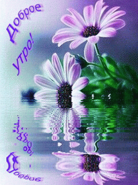Фото – Google+