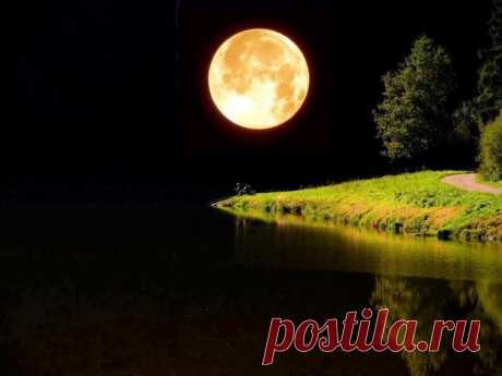 ՎԵՐՋԱԼՈՒՅՍԻ ՄԵՋ
Վերջալույսի մեջ թառամած,
Ուր սերերն են մեղմ երերում,
Քո շղթայված հուշն է հիմա`
Մեր նահանջող շուքից հեռու:

Օ~,հուշերի'ն գերի ձեռքեր,
Տաք ու կիզիչ,ինչպես խարույկ,
Որտեղ վերջին փյունիկը ծեր`
Սև վախճանն է հանգիստ թառում:

Օղակ-օղակ հյուծվող շղթա...
Հեգնանքիդ հուշը ոխերիմ
Չքանում է,և ես ահա
Լուռ ընկնում եմ քո ծնկներին:
ԳԻՅՈՄ ԱՊՈԼԻՆԵՐ