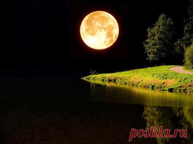 ՎԵՐՋԱԼՈՒՅՍԻ ՄԵՋ
Վերջալույսի մեջ թառամած,
Ուր սերերն են մեղմ երերում,
Քո շղթայված հուշն է հիմա`
Մեր նահանջող շուքից հեռու:

Օ~,հուշերի'ն գերի ձեռքեր,
Տաք ու կիզիչ,ինչպես խարույկ,
Որտեղ վերջին փյունիկը ծեր`
Սև վախճանն է հանգիստ թառում:

Օղակ-օղակ հյուծվող շղթա...
Հեգնանքիդ հուշը ոխերիմ
Չքանում է,և ես ահա
Լուռ ընկնում եմ քո ծնկներին:
ԳԻՅՈՄ ԱՊՈԼԻՆԵՐ