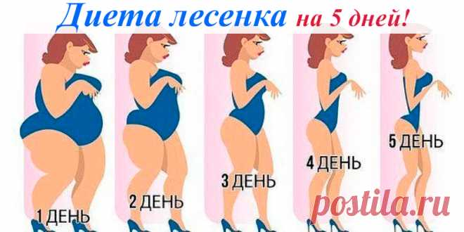 Меню диеты Лесенка на 5 дней | Полезные советы