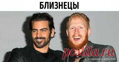 18 доказательств, что гены — те еще шутники . Милая Я