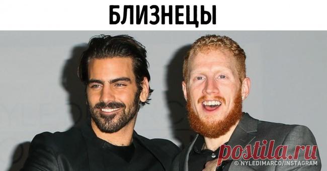 18 доказательств, что гены — те еще шутники . Милая Я