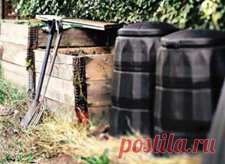 Органическое удобрение навоз. Виды органических удобрений.