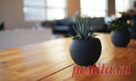 Распродажа Кроватка-трансформер Forest круглая Lavatera — Детский интернет магазин