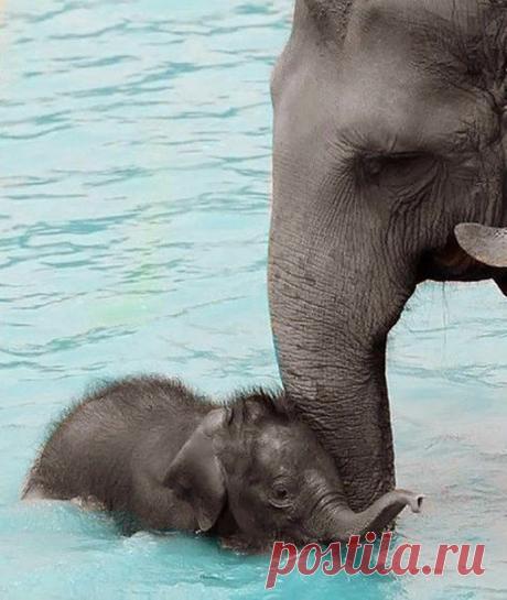 Лучшие фото