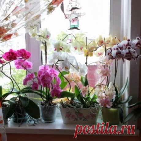 Чья квартира? Какие документы теперь доказывают, кто владеет недвижимостью