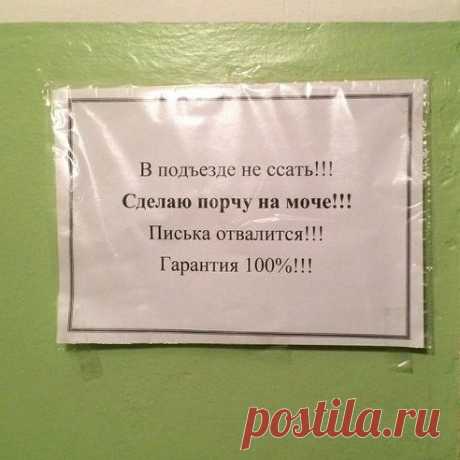 (55) Одноклассники