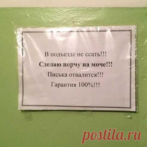 (55) Одноклассники
