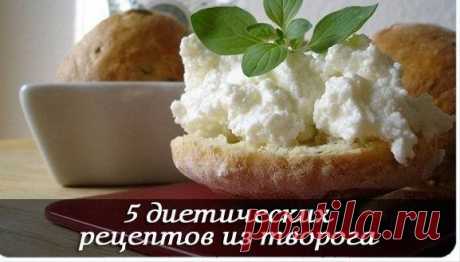 5 диетических рецептов из творога — Диеты со всего света