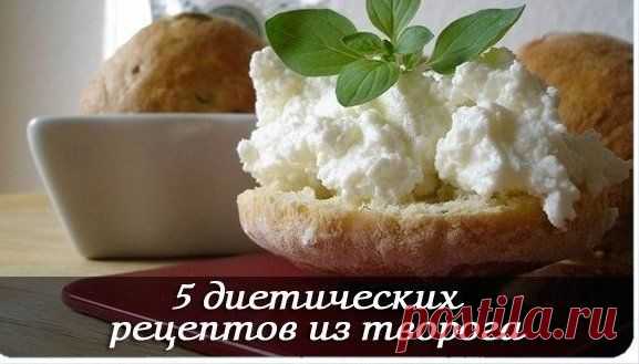 5 диетических рецептов из творога — Диеты со всего света