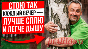 Поза "Дерево" - практика ТОТАЛЬНОГО ОЗДОРОВЛЕНИЯ организма | Станислав Черноног. Школа здоровья | Дзен