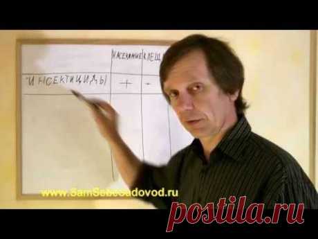 Что нужно знать о садовой химии - YouTube