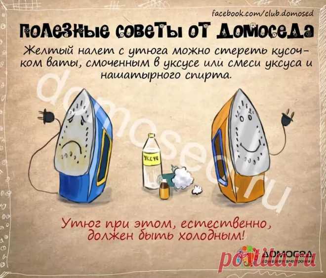 рецепты в картинках на все случаи жизни: 10 тыс изображений найдено в Яндекс.Картинках