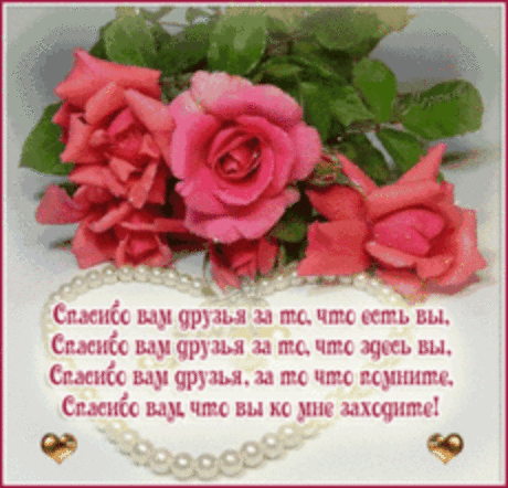 Плейкаст «***ВСЕ ДЛЯ ДРУЗЕЙ  &quot; РОЗА ЧАЙНАЯ&quot;***»