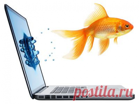 Решение контрольных