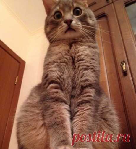 Вчера пришел пьяный, уснул на полу. Такой вид открывался мне с утра
