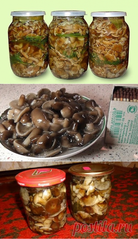 (7) Одноклассники