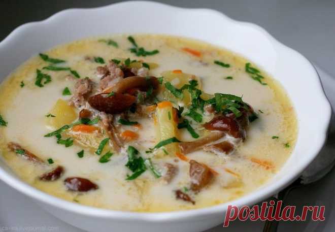 Сырный суп с опятами и куриным фаршем