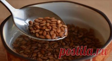 Зачем жевать семя льна утром натощак | Диеты со всего света