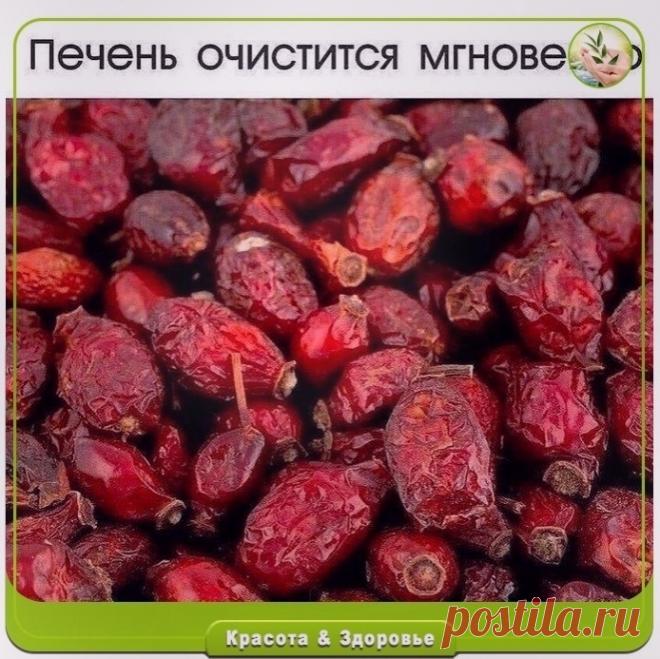 Очищaeм пeчeнь шипoвникoм.