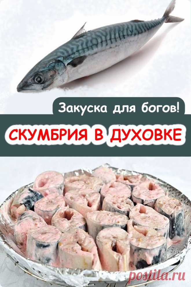 Скумбрия в духовке должна быть на любом столе. И в большой праздник, и на дружеской встрече по поводу окончания трудовой недели. Ведь запеченная закуска из рыбы идеально сочетается со многими продуктами и напитками. Кроме этого, скумбрия в духовке полезна для здоровья. Ведь в ее состав входит множество полезных веществ, необходимых человеческому организму. Поэтому предлагаем очень простой и вкусный рецепт скумбрии в духовке, который принесет вам кучу положительных эмоций. #скумбрия в #духовке