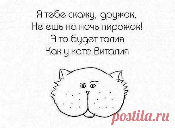 Похудеть за 12 недель | Don Аппетит