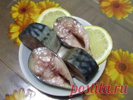 12 Рецептов домашнего посола скумбрий, сельди, кильки и мойвы!