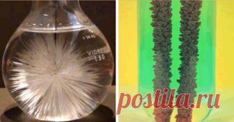 Магия химических реакций — 13 эффектных экспериментов