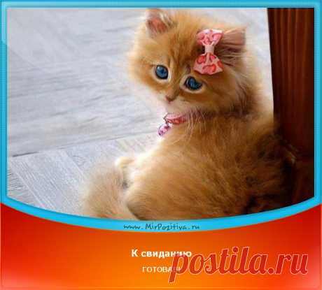 Позитив