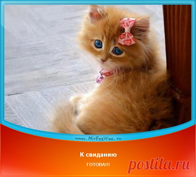 Позитив