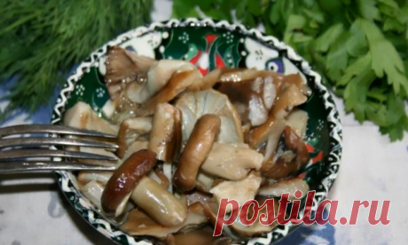 Рядовки соленые / Простые рецепты